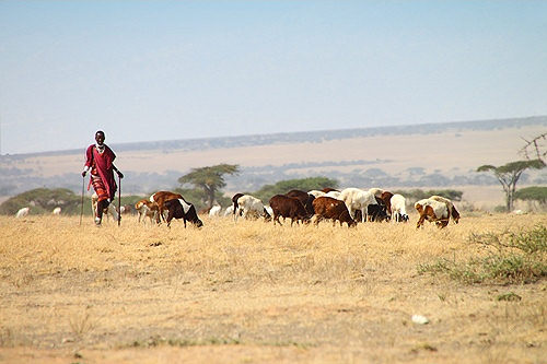 Herders_5238.jpg