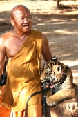 Thailand_TigerTemple_9717