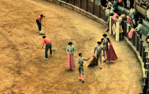 Bullfight8.jpg