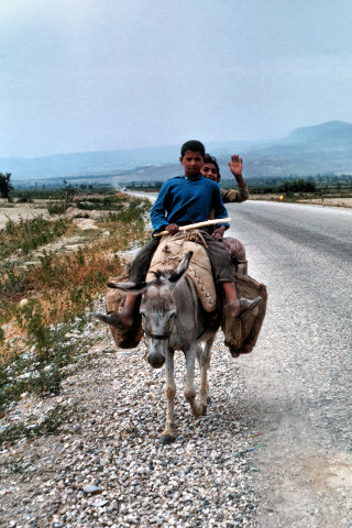 South_1_ChildrenOnDonkey_g.jpg