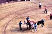 Bullfight5