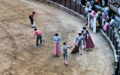 Bullfight8