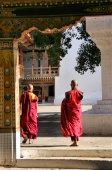 Bhutan_PunakaDzongPlus_8362