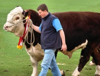 AnimalParade_P9110925