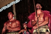 MaoriCulture7_gCROPPED600
